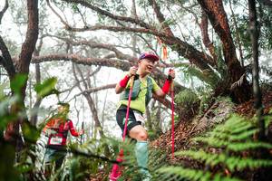 BIB: 
                            <button type="button" onclick="openModal(26299349)" class="btn btn-primary btn-sm float-right btn-popup" data-toggle="modal" data-target=".modal-high-quality">
                        <i class="fas fa-shopping-cart"></i> Add to Cart
                    </button>
                                            <button type="button" onclick="isThisMe(26299349, true)" class="btn btn-success btn-sm float-right btn-popup btn-isme hidden" data-toggle="tooltip" data-placement="bottom" title="นี่คือรูปของคุณใช่ไหม คลิกที่นี่เพื่อเอาเข้าอัลบั้ม">
                        <i class="fas fa-plus"></i> Add to album
                    </button>
                    <button type="button" onclick="isThisMe(26299349, false)" class="btn btn-warning btn-sm float-right btn-popup btn-isnotme hidden">
                        <i class="fas fa-ban"></i> Remove from album
                    </button>